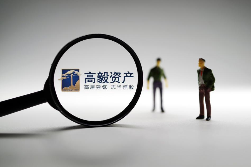 保险,金融类业务),以自有资金对外投资,投资咨询